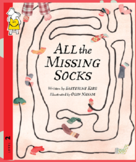 All the Missing Socks